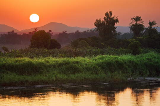 Photo of a jungle, with water, trees, grass and a mountain in the background