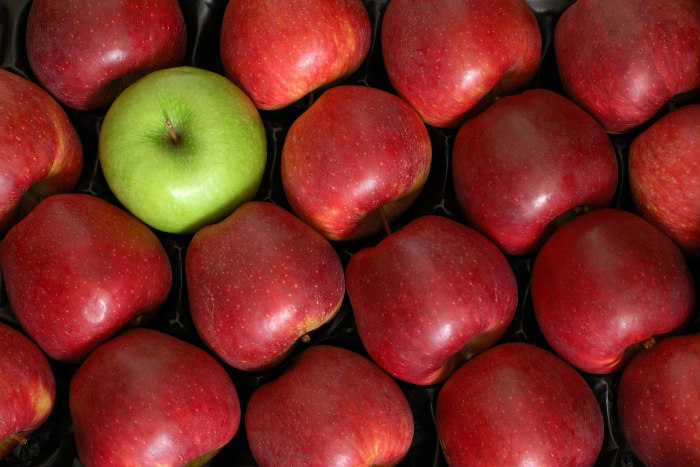 One green apple among a crate of red apples