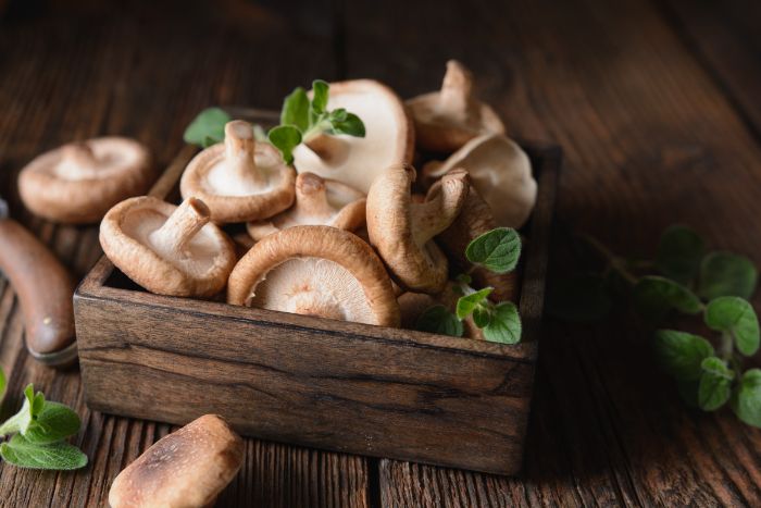 Pile of shiitake mushrooms in a wooden pallet