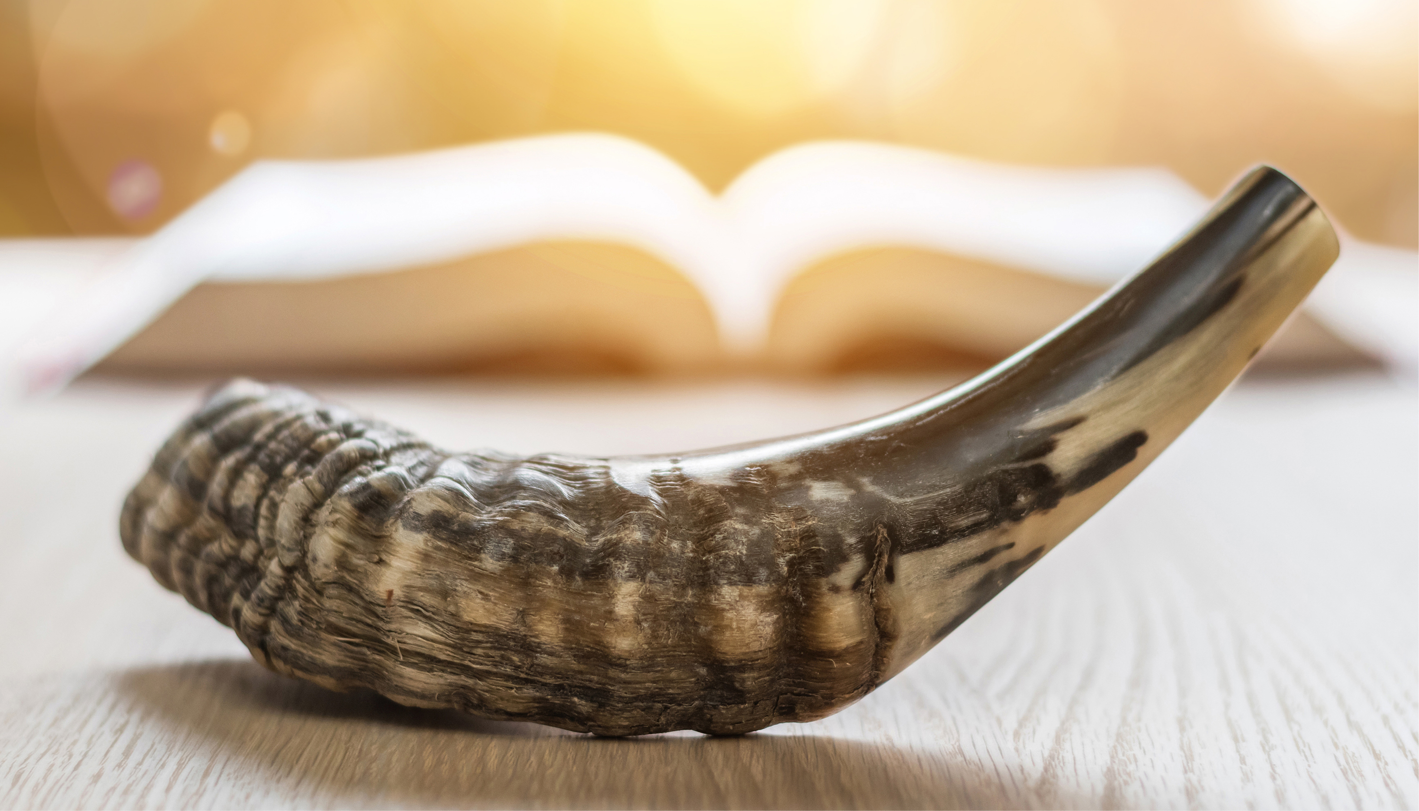 Yom Kippor prayer book and shofar