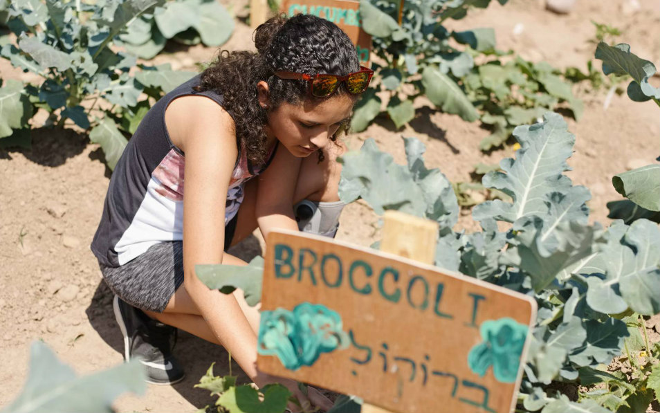 Young woman planting broccoli
