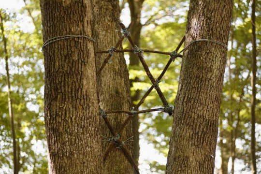 Star of David made of twigs and tied between two tree trunks against green foliage